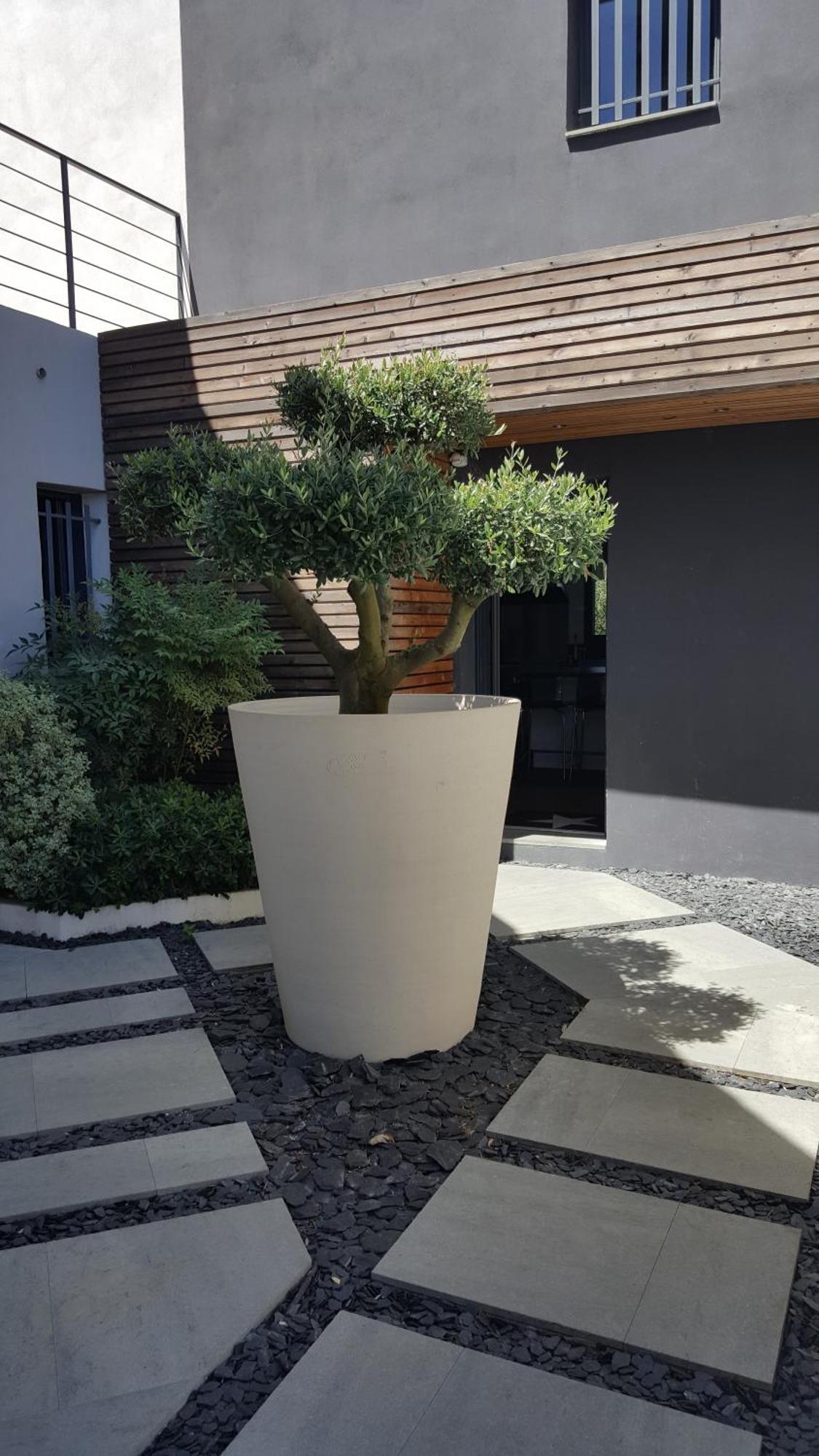 Villa Montpellier Bagian luar foto